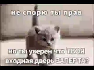 Ты уверен что твоя входная дверь заперта