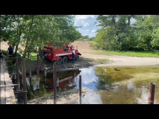 Лесной пожар в Тарасовском районе ликвидирован на площади 123,5 га, — сообщили в МЧС. (видео)