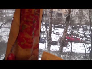 Видео от Стасёк и кулинарные эксперименты