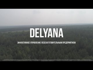 Результаты внедрения Delyana