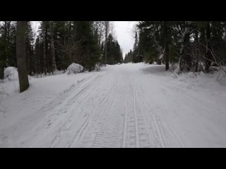 День158. Добежал до первой пасеки. Дистанция 14 километров.