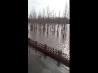 ⚡️⚡️⚡️В Оренбурге объявили массовую эвакуацию.   Такое решение принято из-за критической ситуации с паводками. В городе... (видео)
