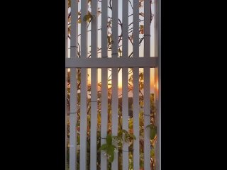 Шикарные сочинские закаты 🌆 (видео)