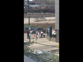When Jeremy Allen White is filming The Bear right next to your office