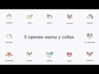 ПОЧЕМУ щенок ИКАЕТ