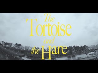 The Tortoise and the Hare MV SKZ CODE