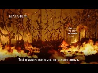 Каждый год в России пожар проходит площадь 100 000 гектаров леса. Это около 400 миллионов деревьев. В 9 из 10 случаев причиной л