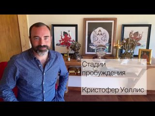 Кристофер Уоллис. Стадии пробуждения