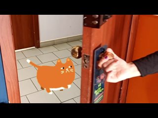 Рыжий кот. Как нас найти в Красноярске