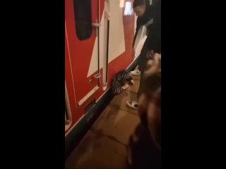 В Москве на станции “Щербинка“ пьяный мужчина упал под электричку и выжил

Кроме ушибов он ничего не получил.