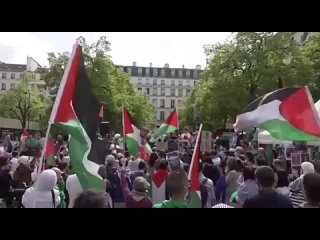 Cientos de manifestantes portando banderas palestinas salieron a las calles de las capitales europeas