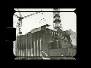 Чернобыль Спустя 38 лет,  природа в Зоне Отчуждения