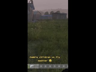 Zombie child vs Fly Swat  Easter DayZ server  - Hard Home