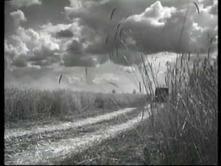 Драгоценные зёрна (1948)