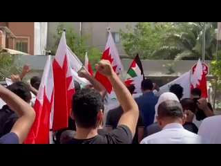 ▶️ Après les prières du vendredi, les Bahreïniens sont descendus dans la rue et ont exprimé leur soutien à la Palestine