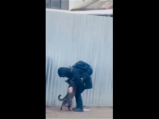 Видео от Угрюмый Чебурашка