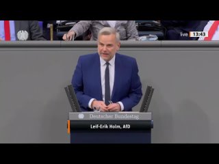 Unsere Kinder sind die rote Linie  | Leif-Erik Holm (AfD)