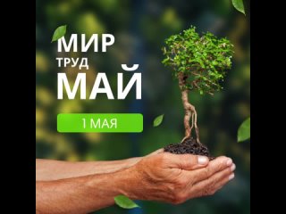 Видео от Ландшафтный дизайн | Москва и МО | Green Planet