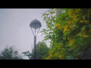 Масато Фунадзу: “Ты - Человек судьбы“ 舟津真翔『君は運命の人』Official Music Video