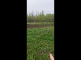 Video by Храм Святителя Тихона, Патриарха Московского.
