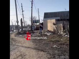 В Челябинске хозяин пинал щенка.