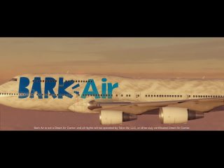 Появились первые собачьи авиалинии. У Bark Air есть рейсы между Лондоном, Нью-Йорком и Лос-Анджелесом.
