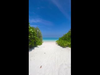 Почему вода на Мальдивах такая голубая