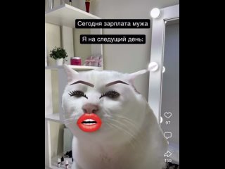 Video by Студия красоты Нарина Броян