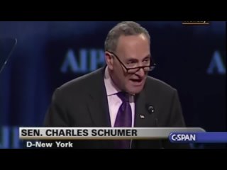 the jew Chuck Schumer