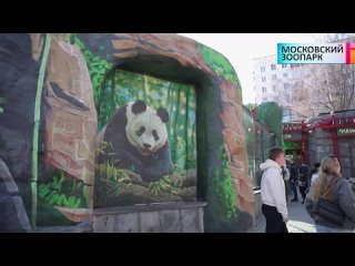 «Москва – лучший город земли»: Московский зоопарк (Анонс)