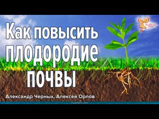 Алексей Орлов и Александр Черных-Как повысить плодородие почвы