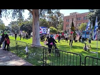 Manifestantes pro palestinos en la Universidad de California (UCLA) refuerzan las barricadas alrededor de su campamento para pr