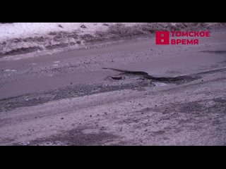 Городские власти начинают готовить улицу Никитина к дорожному ремонту