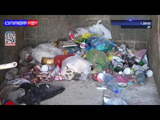 Нашествие крыс в Донецке