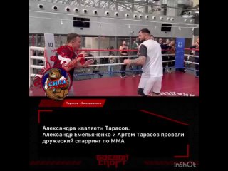 Александр Емельяненко - Артем Тарасов 2024 спарринг