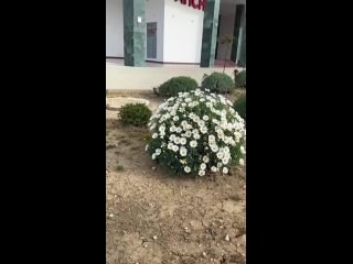 Видео от Гостиница Апсны (Гудаута, Абхазия)