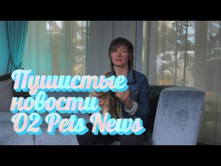 Пушистые новости | O2 Pets News