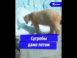 Сугробы даже летом