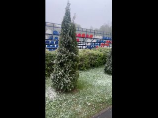 Видео от ЛЕГКАЯ АТЛЕТИКА в г.о. Лосино-Петровский