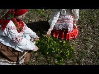 Видеопрезентация “Бравушки-Забавушки“