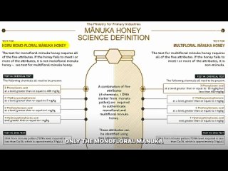 $1000 per Pot  Why is Manuka Honey So Expensive