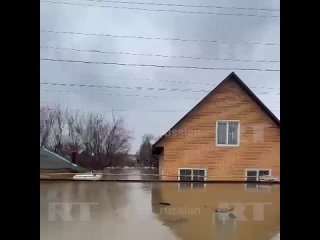 «Вот тёть Зоин дом, по забору всё... О, новый дом вот этот построили, прикинь! «Газель» не видно.