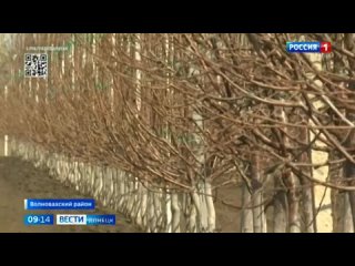 🇷🇺В Волновахском районе продолжаем работать над расширением президентского сада, который был заложен в 2022 году, в день рождени