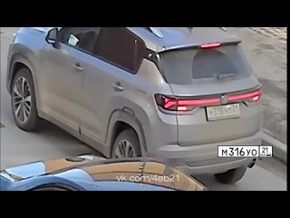 Умники М316УО21 и Е099УЕ21 решили сократить пробку через аллею!