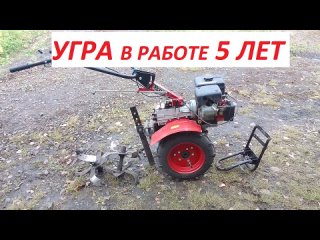 Мотоблок Угра в работе 5 лет! Реальный отзыв! Поломки Плюсы Минусы мотор и трансмиссия Фрезы колеса...