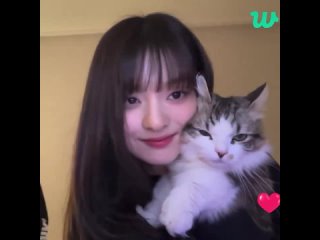 two kitties in the video