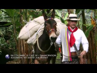 En Colombie, le caf de lmancipation - Invitation au voyag