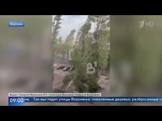 Сразу в нескольких регионах Центральной России устраняют последствия мощного урагана