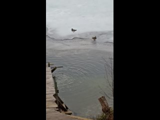 Видео от Красота Внутренней Тишины