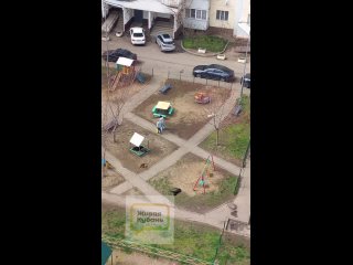 В Краснодаре на улице Лукьяненко появилось много дворовых собак. Днем они спокойно спят в песочнице, а вот вечером,когда дети вы